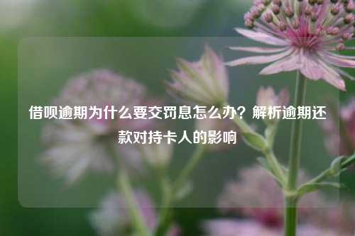 借呗逾期为什么要交罚息怎么办？解析逾期还款对持卡人的影响