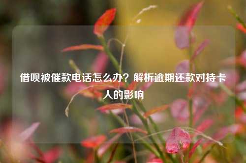 借呗被催款电话怎么办？解析逾期还款对持卡人的影响