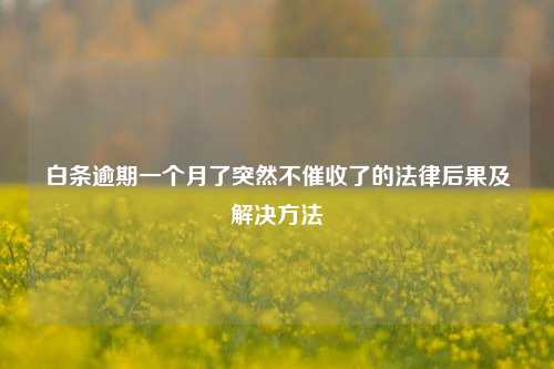 白条逾期一个月了突然不催收了的法律后果及解决方法