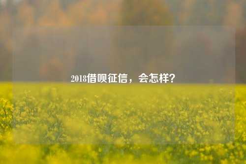 2018借呗征信，会怎样？