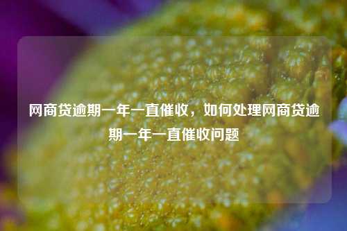 网商贷逾期一年一直催收，如何处理网商贷逾期一年一直催收问题