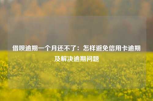 借呗逾期一个月还不了：怎样避免信用卡逾期及解决逾期问题