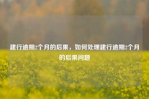 建行逾期2个月的后果，如何处理建行逾期2个月的后果问题