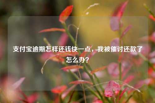 支付宝逾期怎样还钱快一点，我被催讨还款了怎么办？