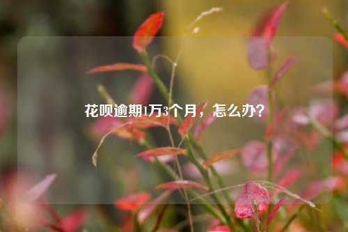 花呗逾期1万3个月，怎么办？