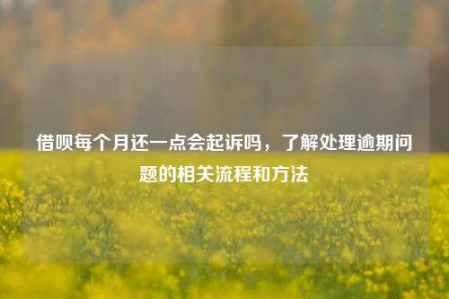 借呗每个月还一点会起诉吗，了解处理逾期问题的相关流程和方法