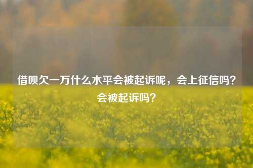 借呗欠一万什么水平会被起诉呢，会上征信吗？会被起诉吗？