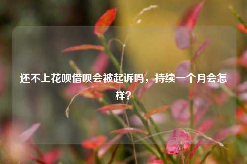 还不上花呗借呗会被起诉吗，持续一个月会怎样？