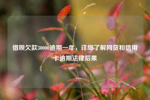 借呗欠款30000逾期一年，详细了解网贷和信用卡逾期法律后果