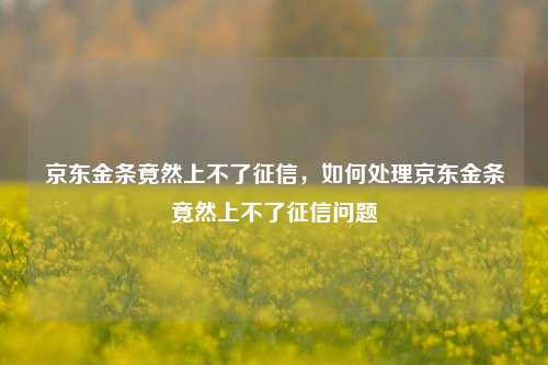 京东金条竟然上不了征信，如何处理京东金条竟然上不了征信问题