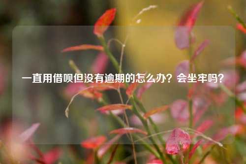 一直用借呗但没有逾期的怎么办？会坐牢吗？