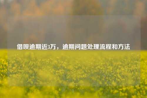 借呗逾期近3万，逾期问题处理流程和方法