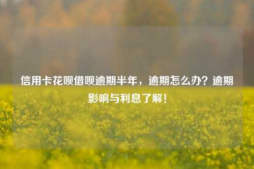 信用卡花呗借呗逾期半年，逾期怎么办？逾期影响与利息了解！