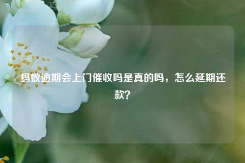 蚂蚁逾期会上门催收吗是真的吗，怎么延期还款？