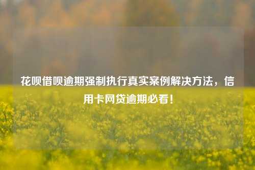 花呗借呗逾期强制执行真实案例解决方法，信用卡网贷逾期必看！