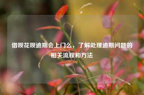 借呗花呗逾期会上门么，了解处理逾期问题的相关流程和方法