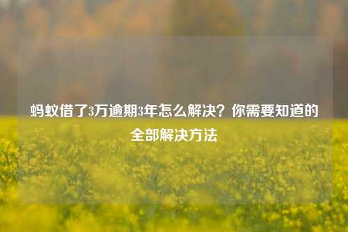 蚂蚁借了3万逾期3年怎么解决？你需要知道的全部解决方法