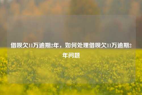 借呗欠11万逾期2年，如何处理借呗欠11万逾期2年问题