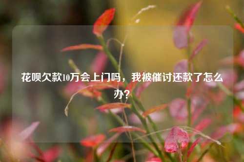 花呗欠款10万会上门吗，我被催讨还款了怎么办？