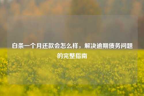 白条一个月还款会怎么样，解决逾期债务问题的完整指南