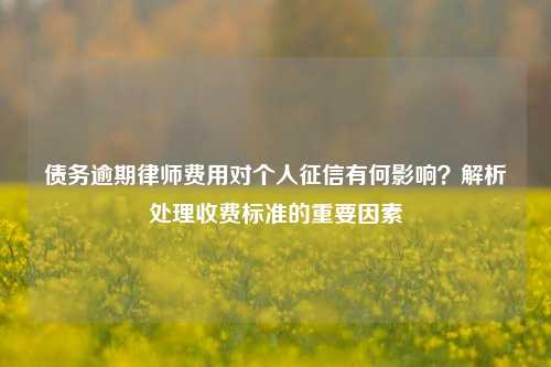 债务逾期律师费用对个人征信有何影响？解析处理收费标准的重要因素