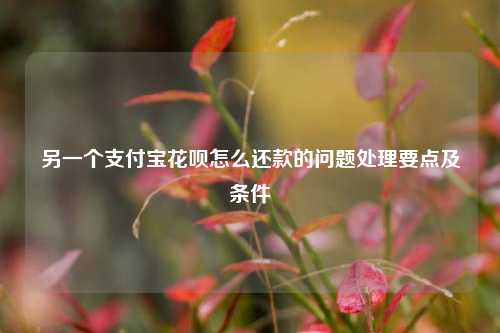 另一个支付宝花呗怎么还款的问题处理要点及条件