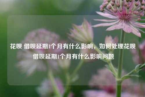 花呗 借呗延期1个月有什么影响，如何处理花呗 借呗延期1个月有什么影响问题