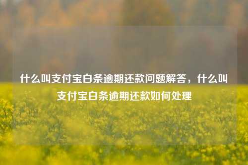 什么叫支付宝白条逾期还款问题解答，什么叫支付宝白条逾期还款如何处理