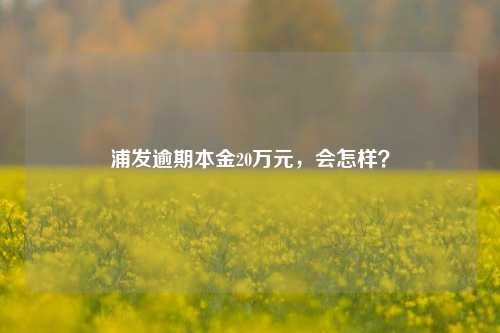 浦发逾期本金20万元，会怎样？