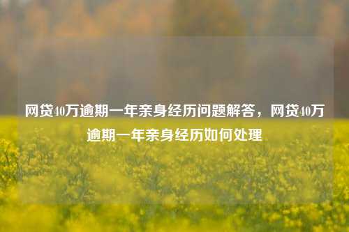 网贷40万逾期一年亲身经历问题解答，网贷40万逾期一年亲身经历如何处理