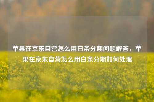 苹果在京东自营怎么用白条分期问题解答，苹果在京东自营怎么用白条分期如何处理