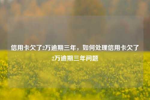 信用卡欠了2万逾期三年，如何处理信用卡欠了2万逾期三年问题