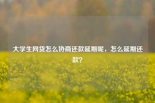 大学生网贷怎么协商还款延期呢，怎么延期还款？