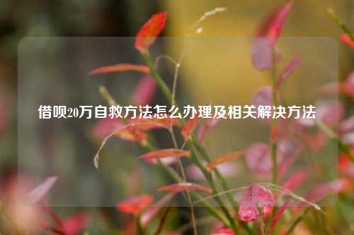 借呗20万自救方法怎么办理及相关解决方法