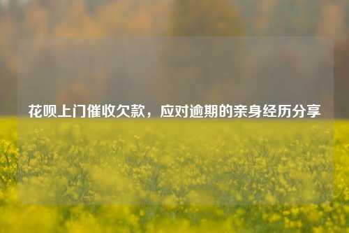 花呗上门催收欠款，应对逾期的亲身经历分享