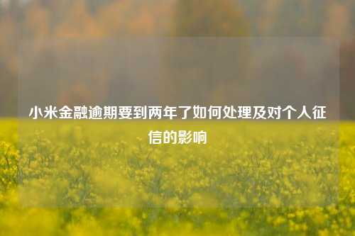 小米金融逾期要到两年了如何处理及对个人征信的影响