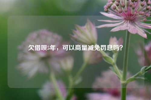 欠借呗5年，可以商量减免罚息吗？