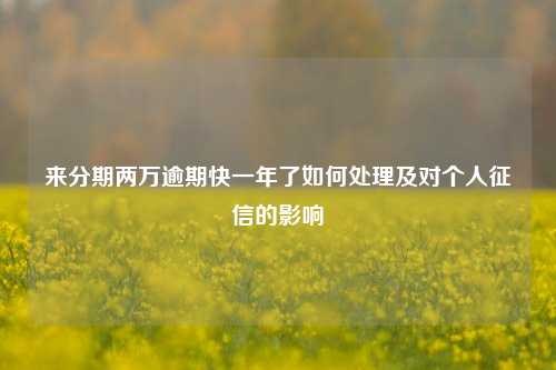 来分期两万逾期快一年了如何处理及对个人征信的影响