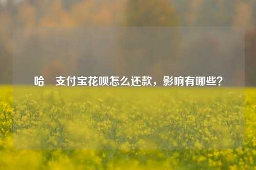 哈啰支付宝花呗怎么还款，影响有哪些？