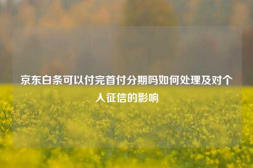 京东白条可以付完首付分期吗如何处理及对个人征信的影响