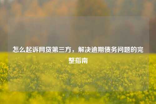 怎么起诉网贷第三方，解决逾期债务问题的完整指南