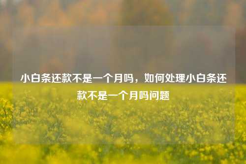 小白条还款不是一个月吗，如何处理小白条还款不是一个月吗问题