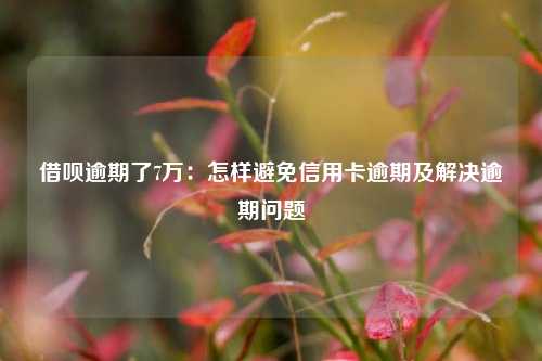 借呗逾期了7万：怎样避免信用卡逾期及解决逾期问题