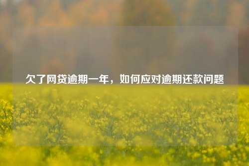 欠了网贷逾期一年，如何应对逾期还款问题