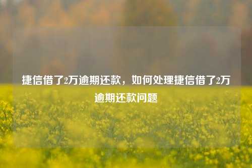 捷信借了2万逾期还款，如何处理捷信借了2万逾期还款问题