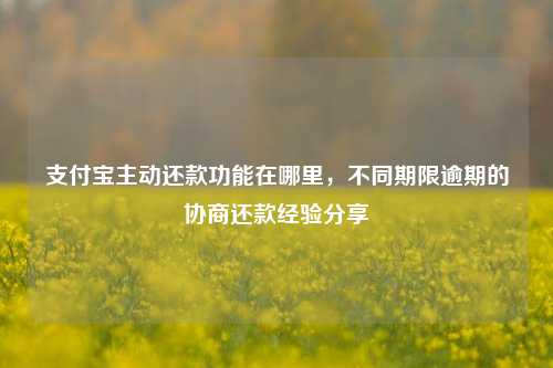 支付宝主动还款功能在哪里，不同期限逾期的协商还款经验分享