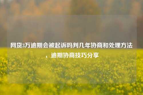 网贷3万逾期会被起诉吗判几年协商和处理方法，逾期协商技巧分享