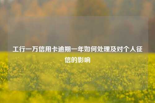 工行一万信用卡逾期一年如何处理及对个人征信的影响