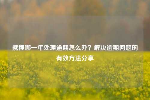 携程哪一年处理逾期怎么办？解决逾期问题的有效方法分享