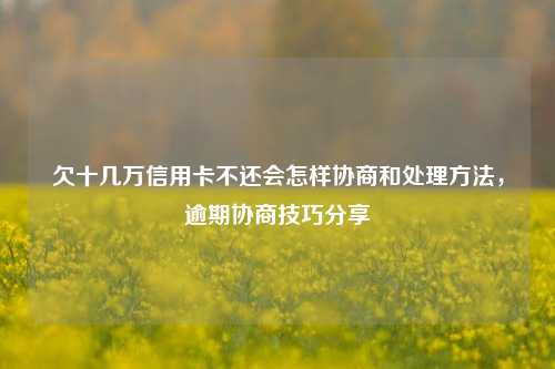 欠十几万信用卡不还会怎样协商和处理方法，逾期协商技巧分享